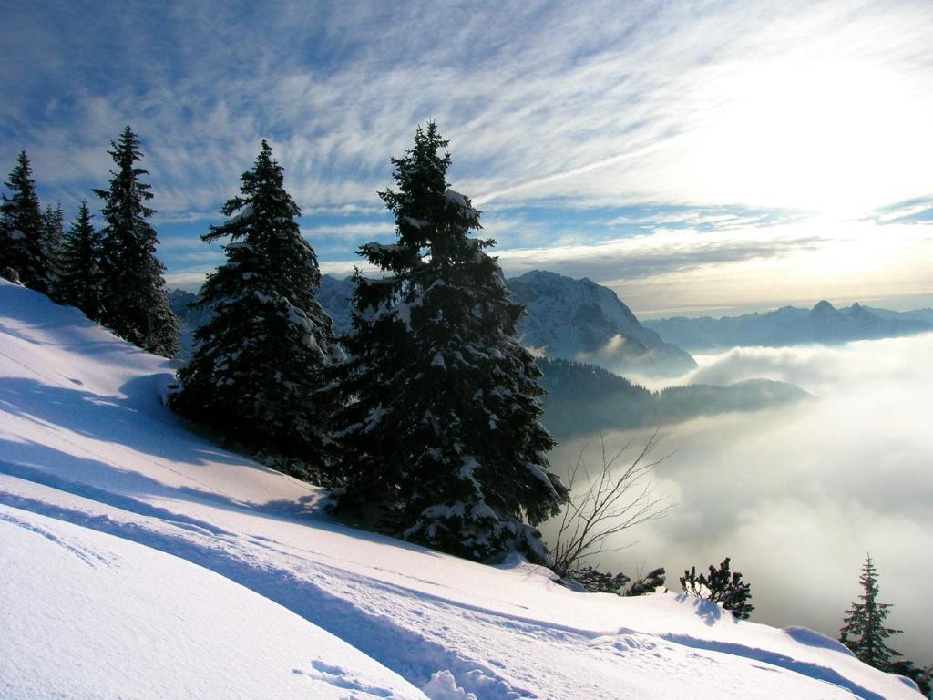 Krosbacher Hof Seefeld in Tirol Buitenkant foto