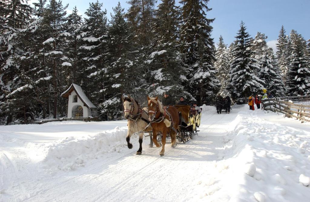 Krosbacher Hof Seefeld in Tirol Buitenkant foto